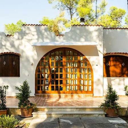 Ad Astra Bed & Breakfast